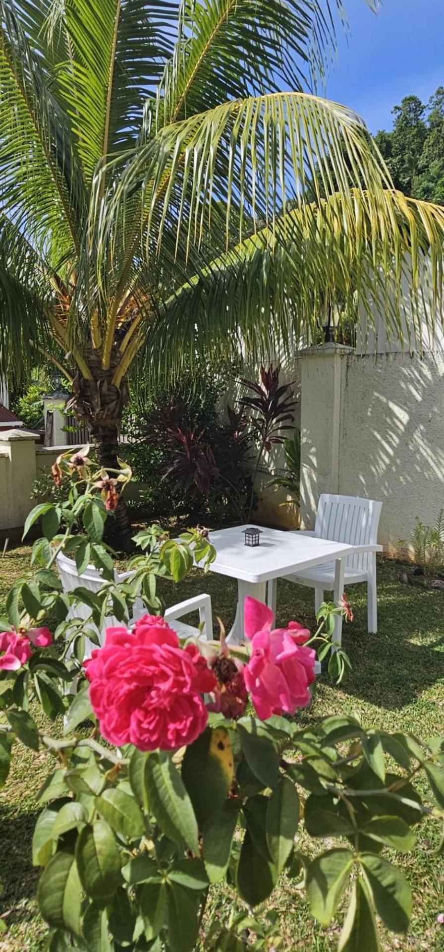 Emma'S Guest House And Self-Catering オー・カップ エクステリア 写真