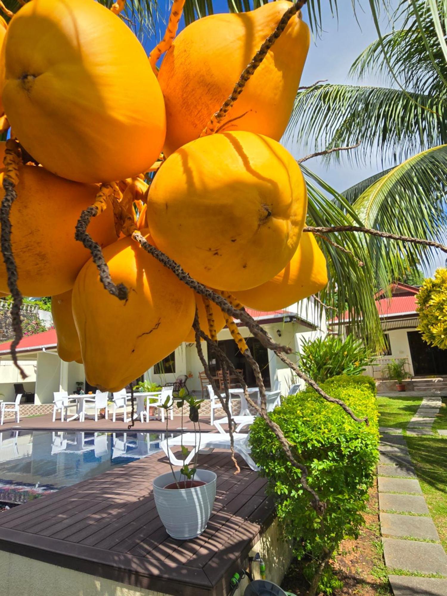 Emma'S Guest House And Self-Catering オー・カップ エクステリア 写真